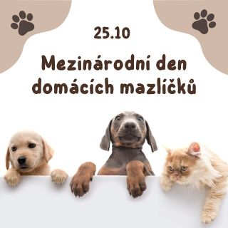 🎉 Dnes je Mezinárodní den domácích mazlíčků! 🐶🐱 Co lepšího udělat, než rozmazlit své chlupaté parťáky novou hračkou? 🎁 V...