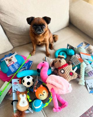 🐾 Sleva 15 % na hračky pro psy a kočky! 🎾🐱🐶 Chcete udělat radost svému chlupatému parťákovi? Teď je ten správný čas! Do...